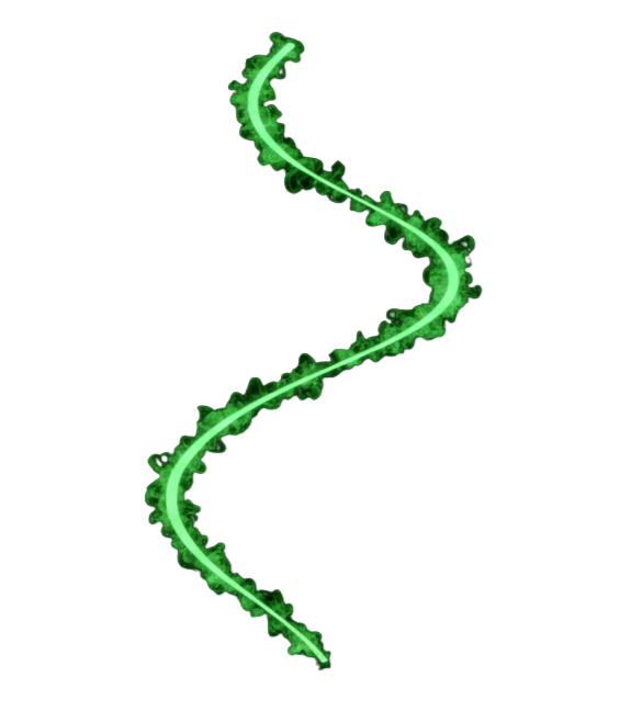 AI Asset 2
