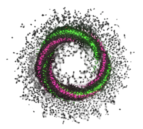 AI Asset 3